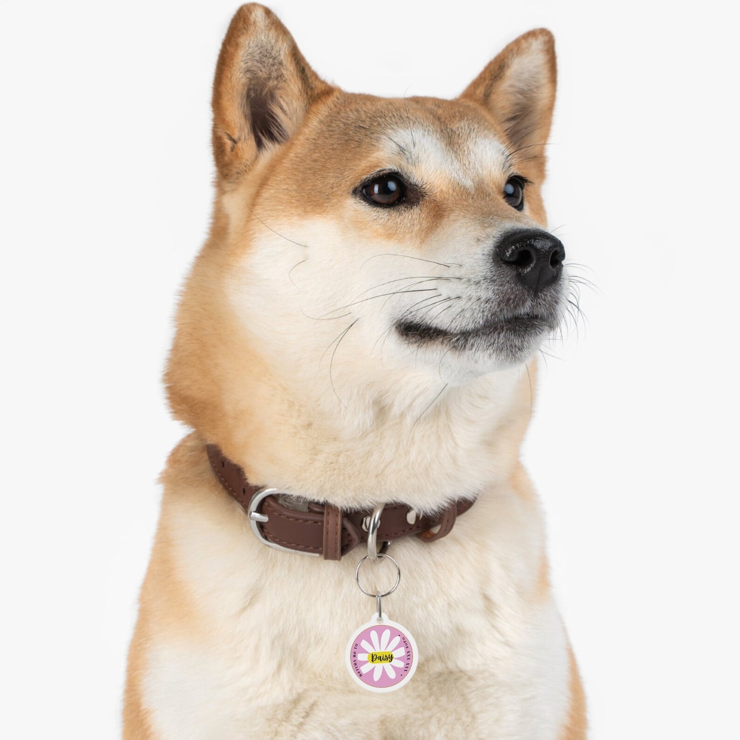 Pet Tag-