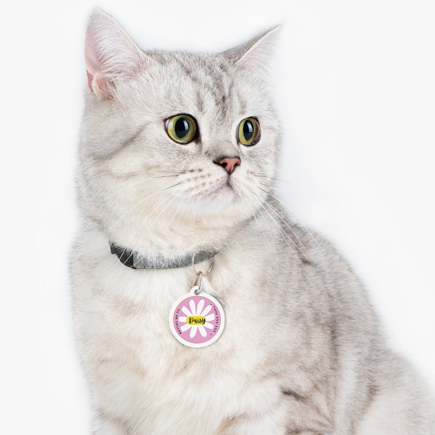 Pet Tag-