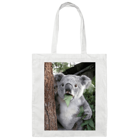 BE007 Canvas Tote Bag-Bags