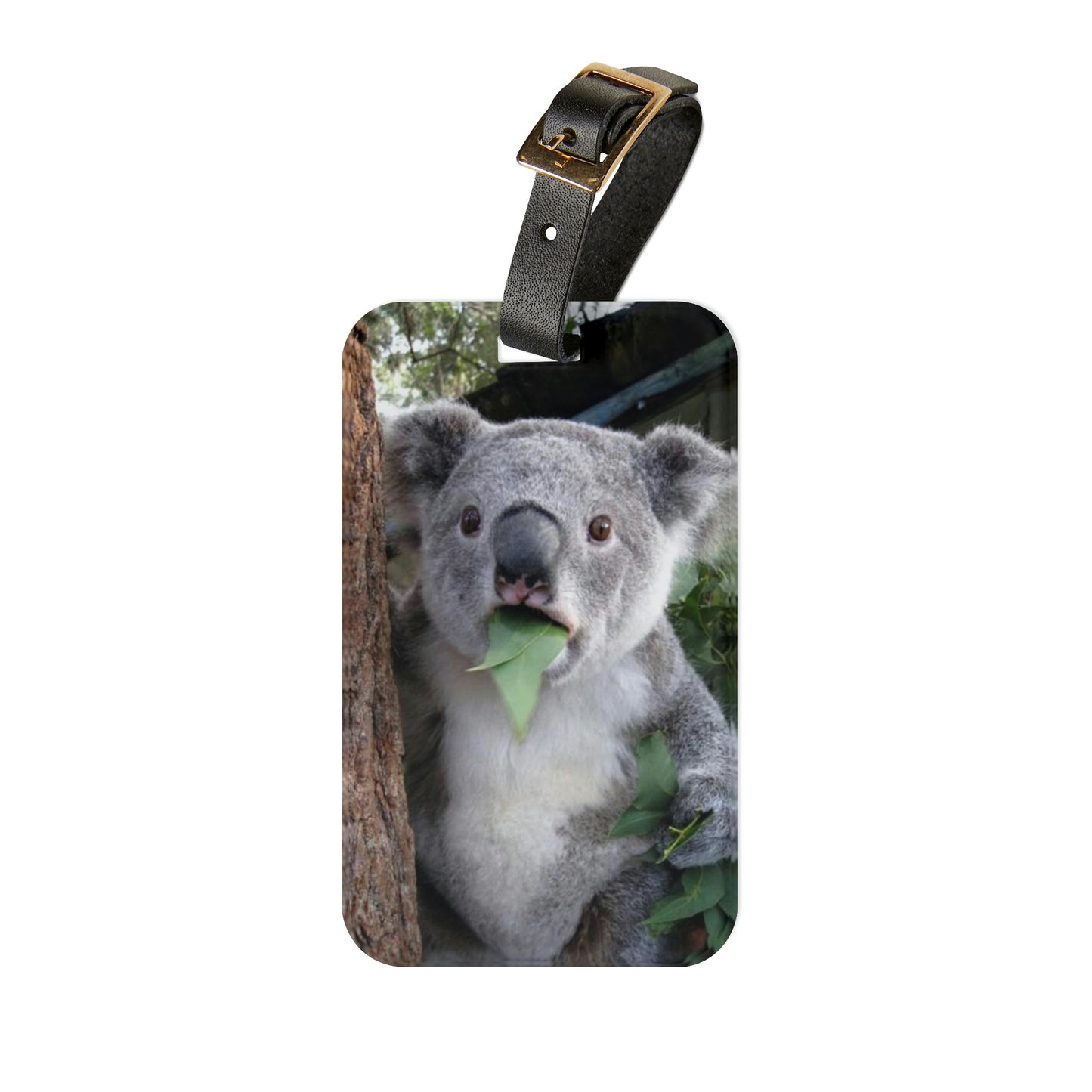 Luggage Tag-Accessories