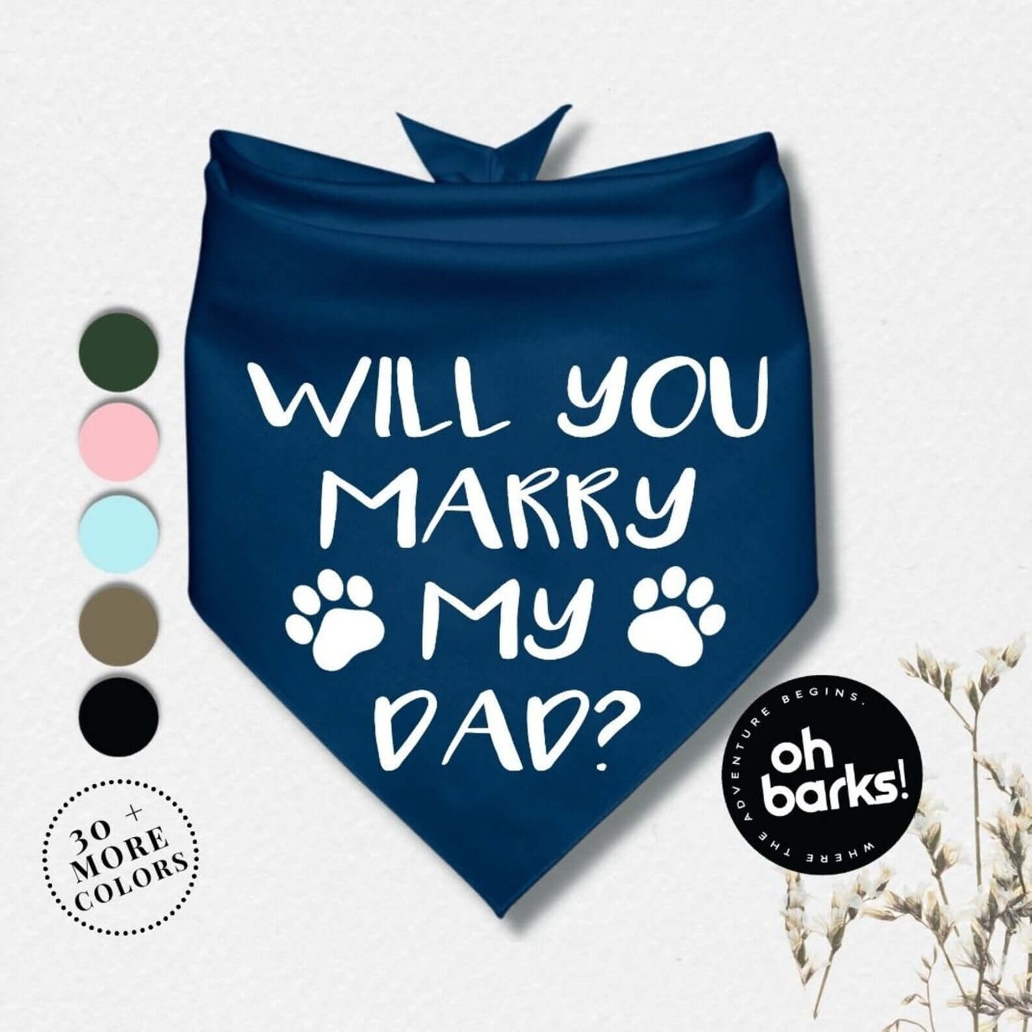 Pet Accessories-